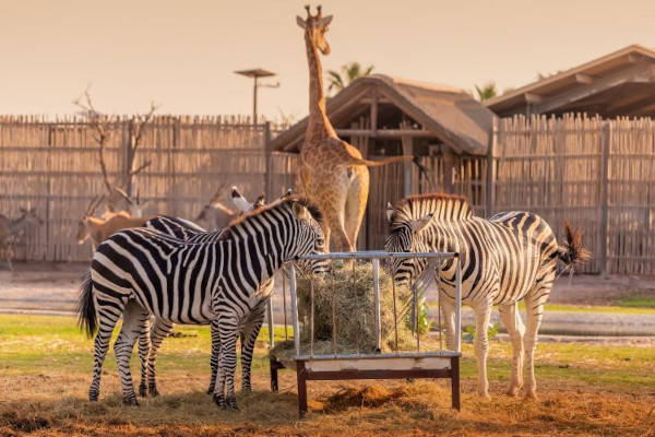 340 RIVERSIDE CRESCENT 28